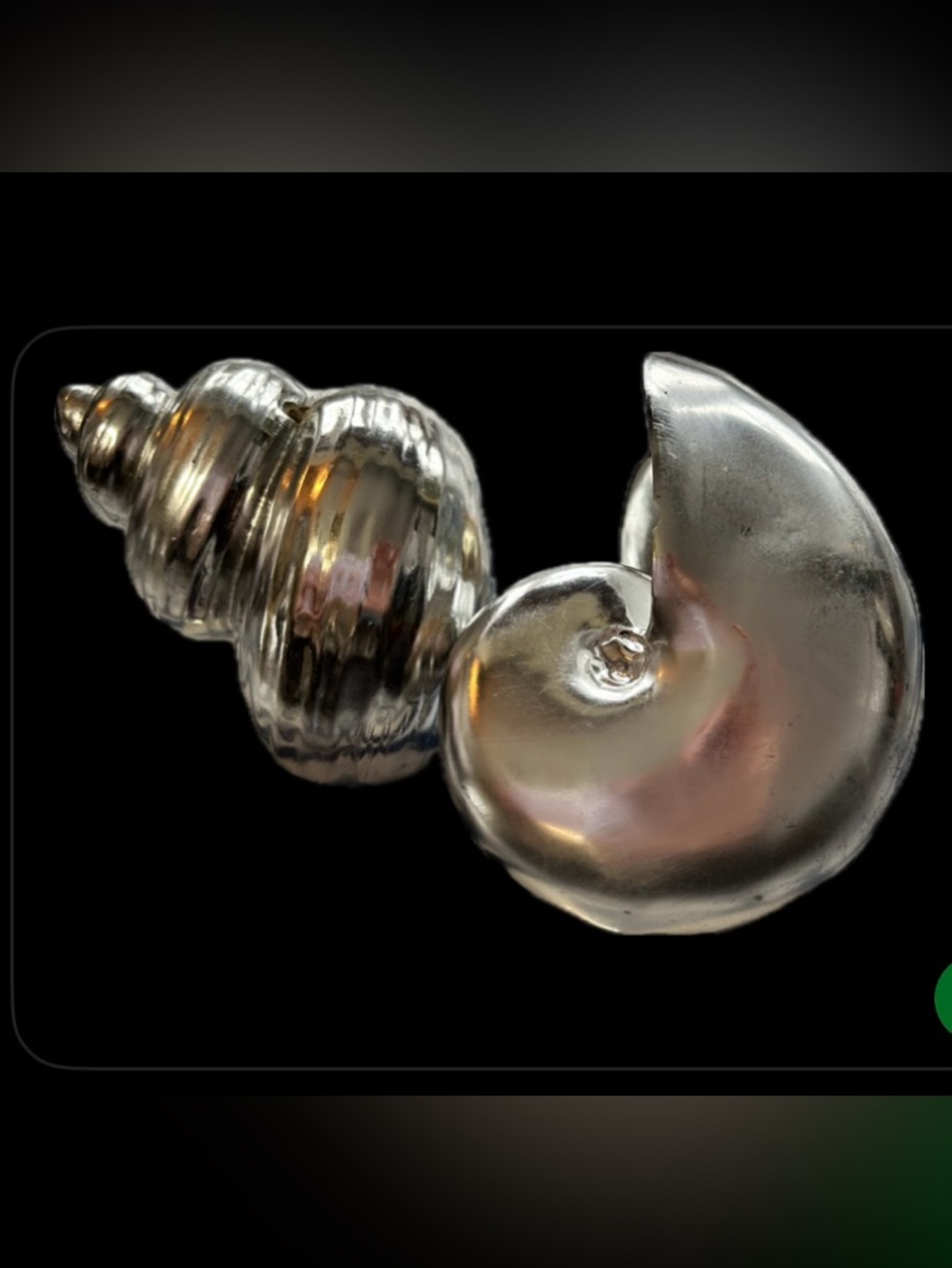 Silver Nautilus Decorative Sea Shells